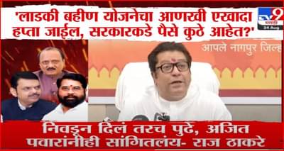 लाडकी बहीण योजना फार तर..., काय म्हणाले राज ठाकरे