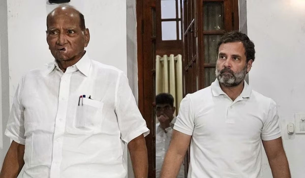राहुल गांधी यांना पाचव्या रांगेत स्थान दिल्याने शरद पवारांची भाजपवर टीका
