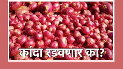 सरकारच्या एका निर्णयाने शेतकऱ्यांना मोठा फायदा, बाजारात 50-80 रुपयांनी विकतोय कांदा, अजून वाढतील का भाव? कांदा ग्राहकांना रडवणार?