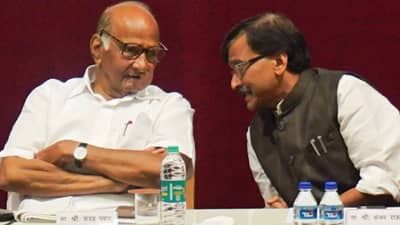 संजय राऊत, तुम्ही तर शरद पवारांचे दलाल...!; कुणाचं विधान?