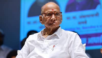 साहेब आमचे दैवत... अजित पवार गटाच्या नेत्याकडून शरद पवारांचं तोंडभरून कौतुक; मनात नेमकं काय?