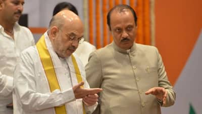 ‘बिहार पॅटर्न राबवा, मला मुख्यमंत्रीपद द्या…’, अमित शाहांसमोर दादांचा प्रस्ताव? ‘द हिंदू’ चा दावा काय?