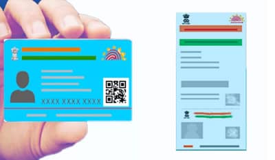 Blue Aadhar : निळे आधार कार्ड म्हणजे काय? कोणाला मिळते हे आधार कार्ड