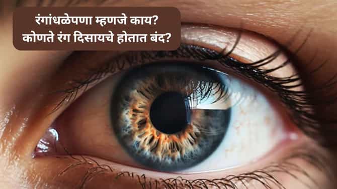 Tv9 Special : रंगांधळेपणा म्हणजे नेमकं काय? कोणते रंग दिसायचे बंद होतात?, जाणून घ्या सविस्तर