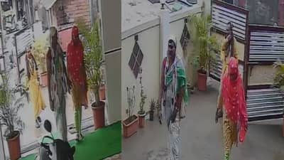 कल्याणमध्ये तृतीयपंथी चोरांची टोळी सक्रिय, गणेशोत्सवानिमित्त घरात नाचत दागिन्यांचीच चोरी