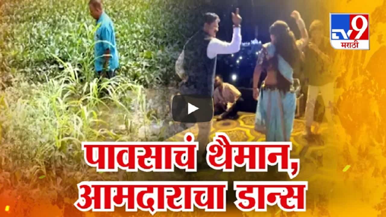 नाहीतर गौतमी आधी तुझ्यासोबतच..., वडेट्टीवारांच्या टीकेनंतर भाजप आमदारांचं चकित करणारं उत्तर