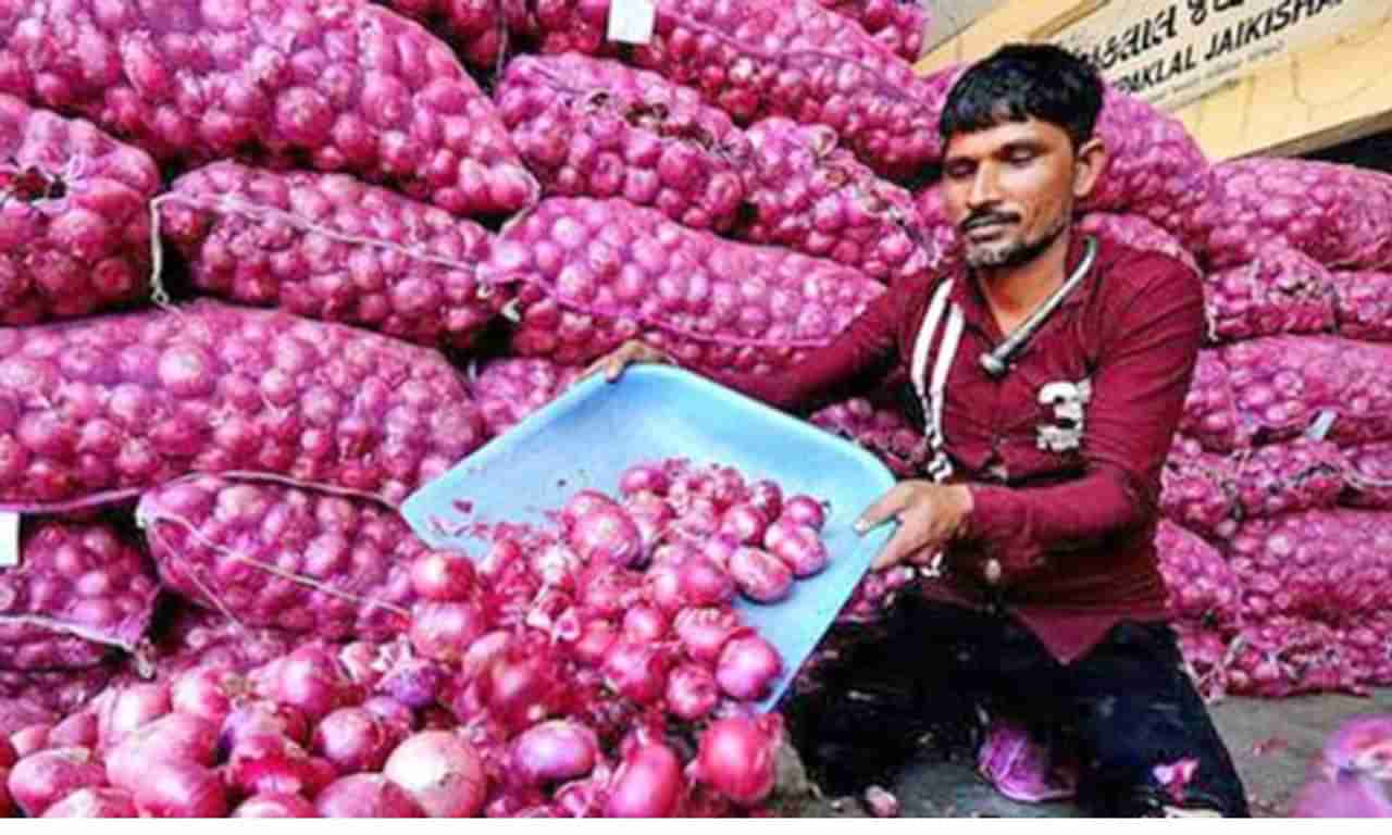 कांद्यावरील निर्यात मूल्य रद्द केल्यानंतरही लाखो टन कांदा सीमेवर पडून, मुंबई पोर्टवर 300 कंटेनर अडकले