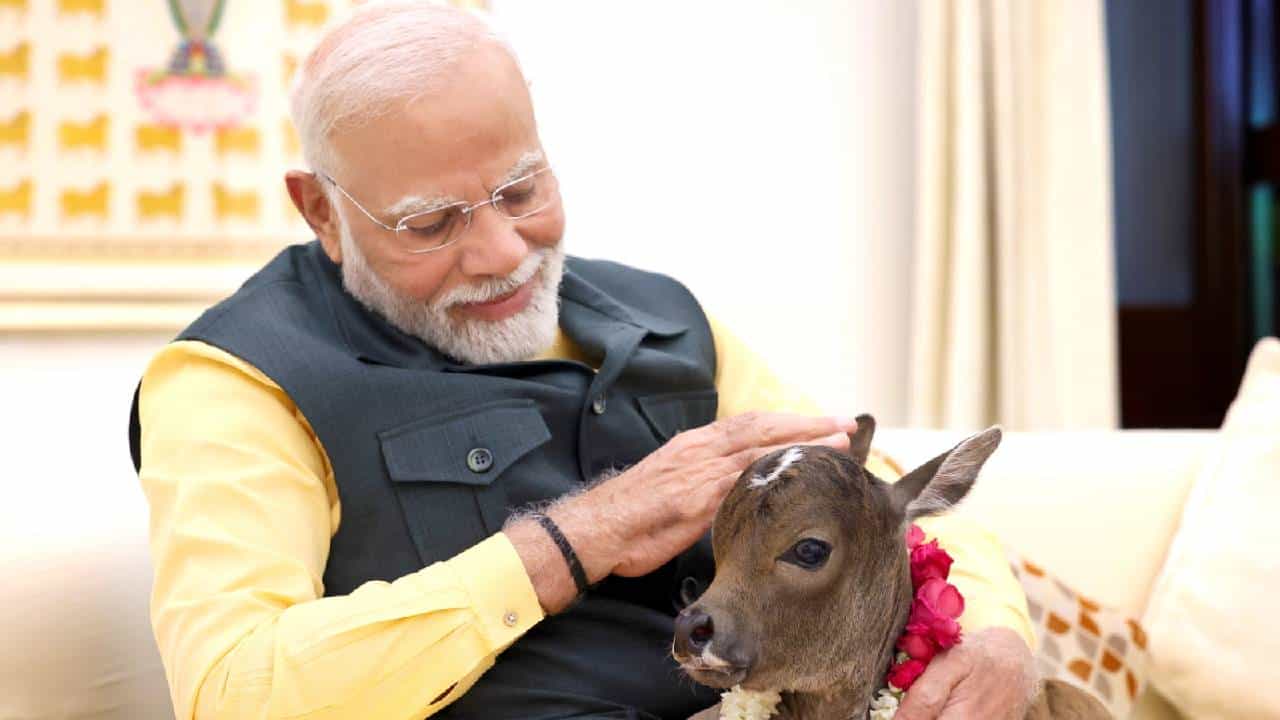 VIDEO : पंतप्रधान मोदींच्या घरात खास पाहुण्याचं आगमन; नाव ऐकून तुम्हीही म्हणाल वाह! VIDEO : पंतप्रधान मोदींच्या घरात खास पाहुण्याचं आगमन; नाव ऐकून तुम्हीही म्हणाल वाह!