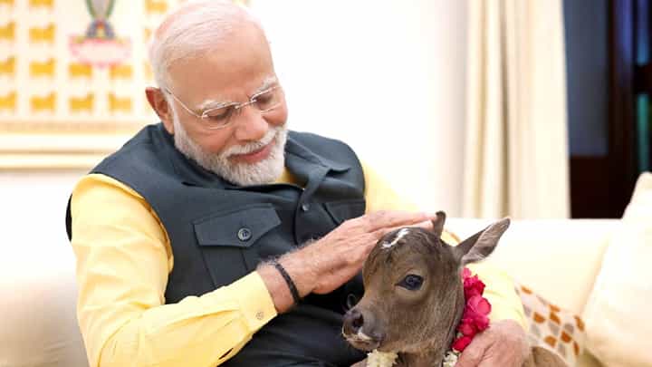 VIDEO : पंतप्रधान मोदींच्या घरात खास पाहुण्याचं आगमन; नाव ऐकून तुम्हीही म्हणाल वाह! VIDEO : पंतप्रधान मोदींच्या घरात खास पाहुण्याचं आगमन; नाव ऐकून तुम्हीही म्हणाल वाह!