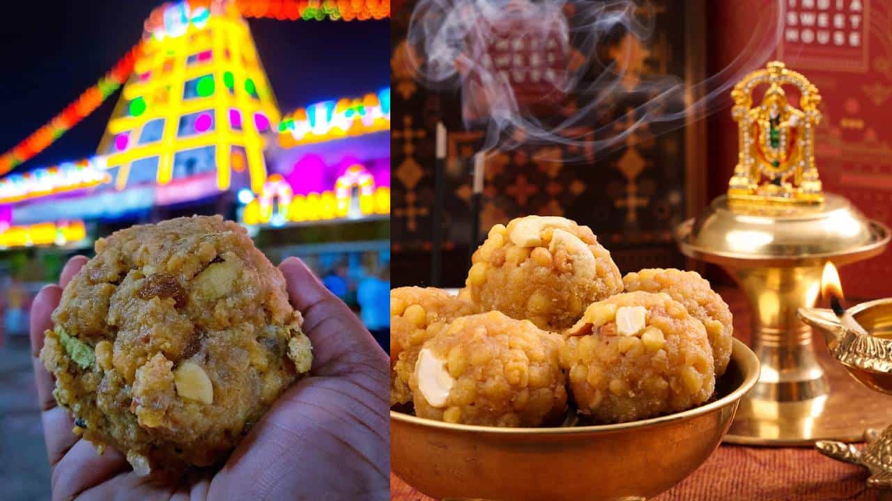 Tirupati Balaji laddu row : तिरुपती बालाजीच्या प्रसाद लाडूत जनावरांची चरबी अन् माशांचं तेल Tirupati Balaji laddu row : तिरुपती बालाजीच्या प्रसाद लाडूत जनावरांची चरबी अन् माशांचं तेल