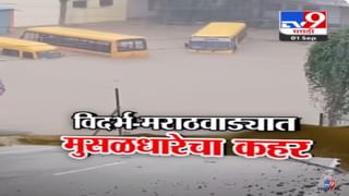 गारूडी, सुपारी बहाद्दर अन् ढोंगी, बच्चू कडू-राणा दाम्पत्यांमध्ये टोकाची टीका; कोणी काय केला हल्लाबोल?