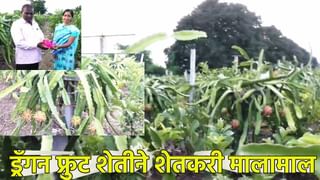 टाटा ट्रस्टचे प्रमुख नोवेल टाटा हे टाटा सन्सचे प्रमुख का नाही बनू शकत, हे आहे कारण