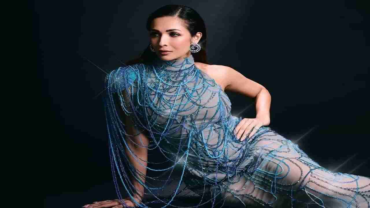 Malaika Arora: कमी शिक्षण असूनही कोट्यवधींची माया कमवते मलायका, इतक्या संपत्तीची मालकीण