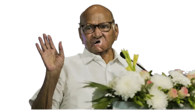 शरद पवारांच्या राष्ट्रवादीकडून एबी फॉर्मचं वाटप सुरू, ‘या’ 3 जणांची उमेदवारी फिक्स