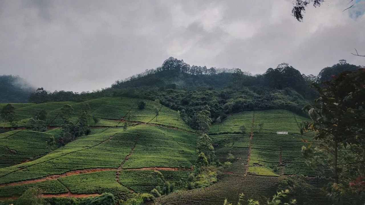 बजेट ट्रीपमध्ये श्रीलंका सुद्धा आहे. दक्षिण आशियाच्या हिंद महासागरच्या उत्तर भागात समुद्री बेट श्रीलंका सुंदर देश आहे. श्रीलंकेत भारताच्या एक रुपयाची किंमत 3.75 श्रीलंकाई रुपये आहे. 