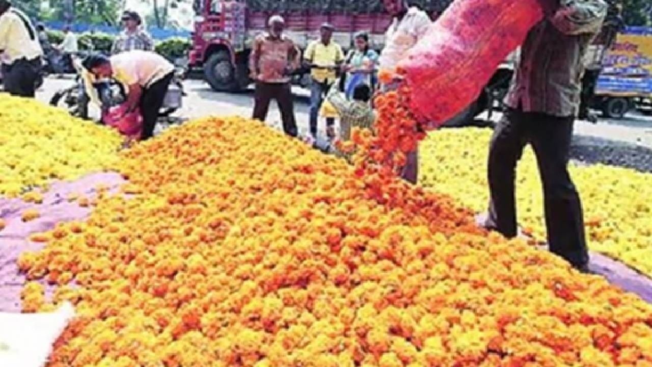 झेंडूप्रमाणेच सध्या इतर फुलांनाही बरीच मागणी आली आहे. फूलबाजारात पुणे, सोलापूर, धाराशीव, बीड, हिंगोली परिसरातील शेतकऱ्यांनी मोठ्या प्रमाणावर झेंडू विक्रीस आणला आहे.