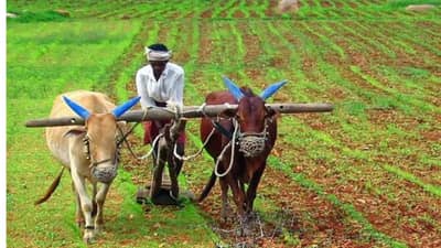 खुशखबर! महाराष्ट्रातील शेतकऱ्यांच्या बँक खात्यात 5 ऑक्टोबरला 4 हजार रुपये येणार