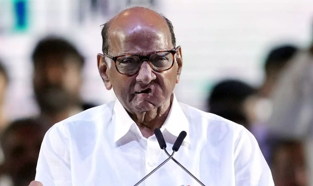 Sharad Pawar : 2024 विधानसेभेच्या रिंगणात शरद पवारांची 'यंग बिग्रेड', कोणत्या तरूण चेहऱ्यांना उमेदवारी?