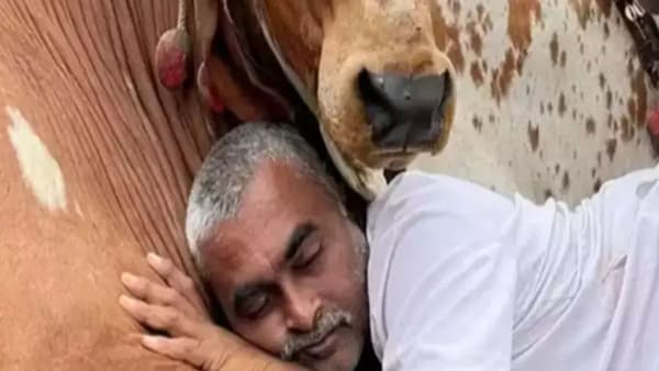 रमेश रुपारेलिया यांच्याकडे स्वतःची जमीनही नव्हती. गोंडल येथील एका जैन कुटुंबाकडून त्यांनी जमीन उक्त्याने (भाड्याने) घेतली होती. त्यांनी शेतीत रसायनांचा वापर केला नाही. त्यांना लहाणपणापासून गीत-संगीताची आवड होती.
