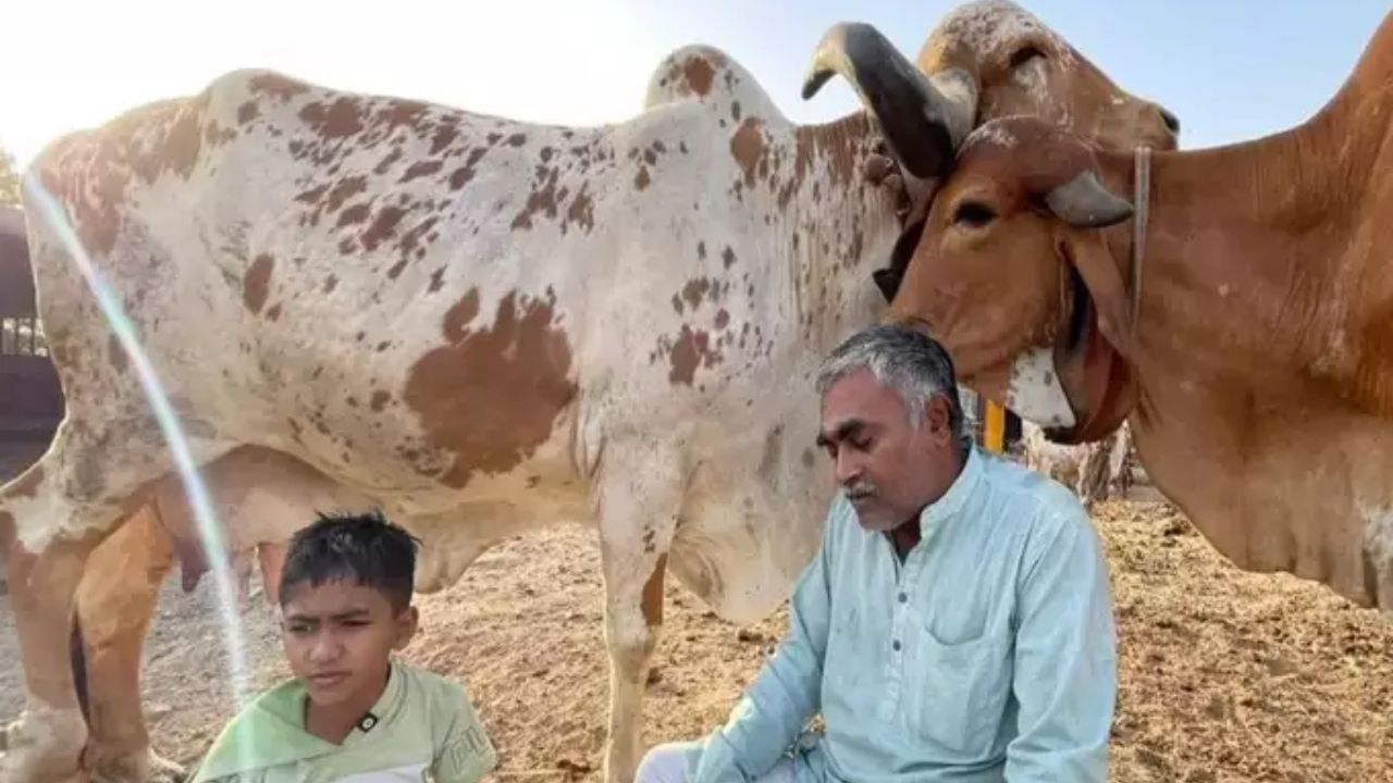 गाईंवर त्यांचे विशेष प्रेम होते. एकदा त्यांच्या शेतात कांद्याच्या पिकातून 35 लाख रुपयांचे उत्पन्न झाले. त्यानंतर त्यांचे गाईंवरील प्रेम अधिकच वाढले. त्यांनी बेवारस सोडलेल्या गाई आणून त्यांची काळजी घेणे सुरु केले. ते श्री गिर गौ कृषी जतन संस्था नावाने स्वतःचा गोठा चालवतात.