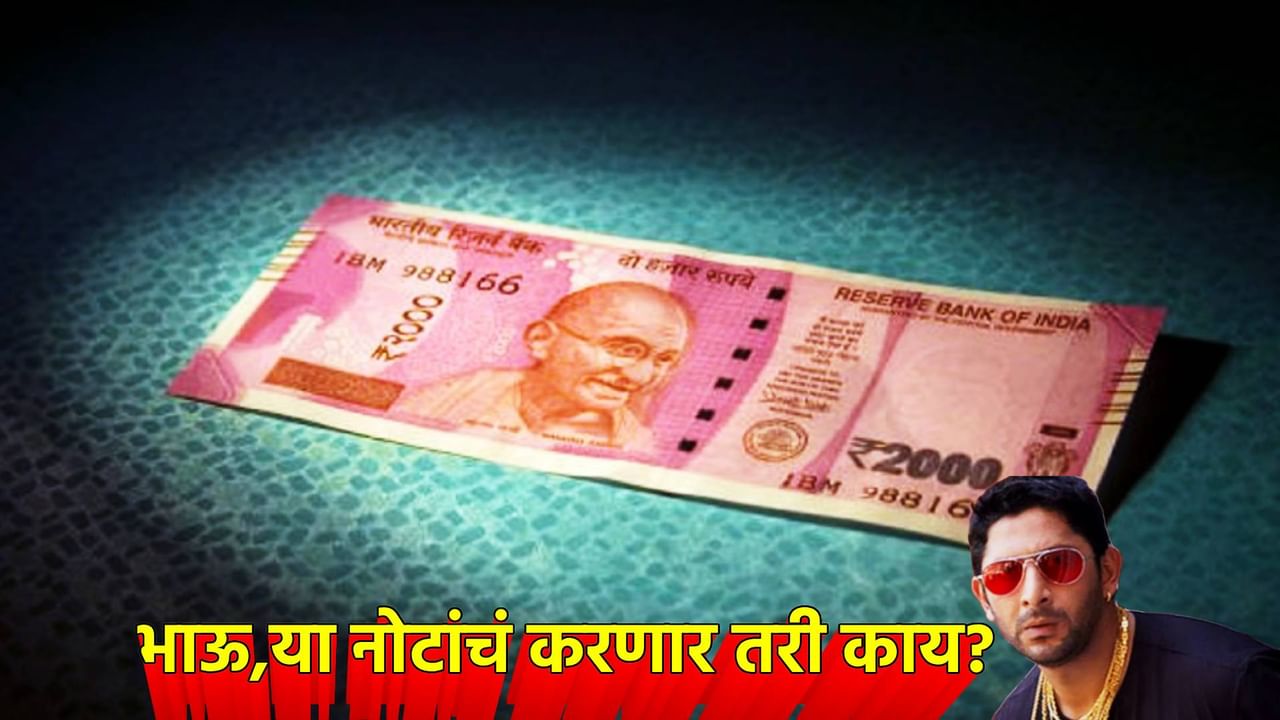 2000 रुपयांचे करणार तरी काय? कोण आहेत ही लोक ज्यांनी लपवल्यात या नोटा, RBI ची पण वाढली चिंता