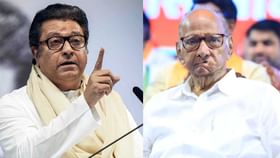 शरद पवार तर तालुक्याचे नेते; राज ठाकरे यांचा घणाघाती हल्ला