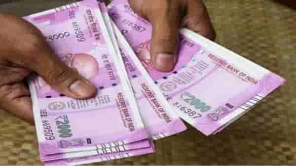या मुळ्या आहेत खूपच चत्मकारी, तिजोरीत ठेवल्या तर कधीच पैसा पडणार नाही कमी!