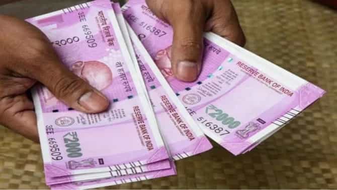 या मुळ्या आहेत खूपच चत्मकारी, तिजोरीत ठेवल्या तर कधीच पैसा पडणार नाही कमी!