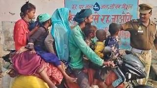 चोचीत भरतो 11 लीटर पाणी, 50 किमीचा वेग, हा दुर्लभ पक्षी प्रथमच या भागात दिसला