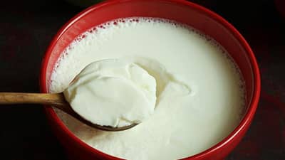 Vitamin B12 ची कमतरता? या गोष्टीचे सेवन दह्यासोबत करा