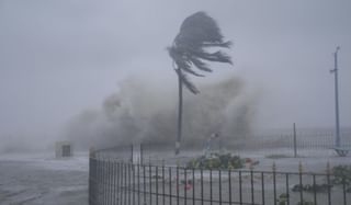 Cyclone Fengal: फेंगल चक्रीवादळाचा तडाखा बसायला सुरुवात, मुसळधार पावसाने झोडपलं