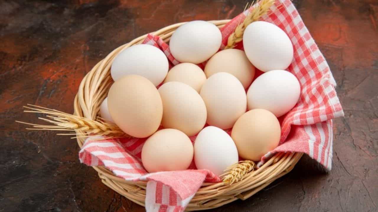 तुम्हीही रोज अंडे खाता का? जाणून घ्या अंडे खाण्याचे फायदे आणि तोटे