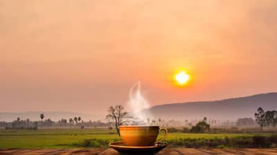 ते सिक्रेट... संध्याकाळी या 5 गोष्टी करा आणि...