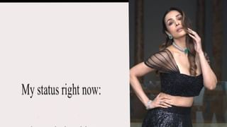 Malaika Arora : अर्जुन कपूरशी ब्रेकअप झाल्यावर रिलेशनशिप स्टेटस काय ? मलायकाने थेट सांगितलं….