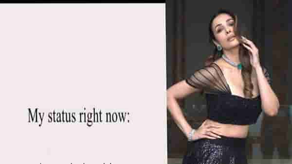 Malaika Arora : अर्जुन कपूरशी ब्रेकअप झाल्यावर रिलेशनशिप स्टेटस काय ? मलायकाने थेट सांगितलं....