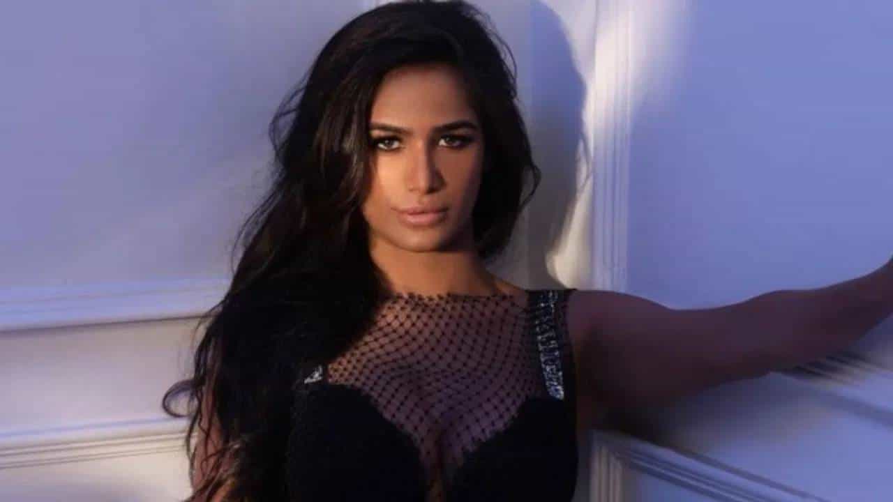 Poonam Pandey : पूनम पांडे लग्न करत्ये ? दुसऱ्या लग्नाबद्दल म्हणाली, ही बातमी...