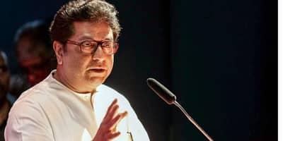 मनसे महायुतीत जाणार? ‘भाजपशी जवळीक फायद्याची…’, पराभवानंतर नेत्यांनी राज ठाकरेंच्या पुढे मांडली भूमिका