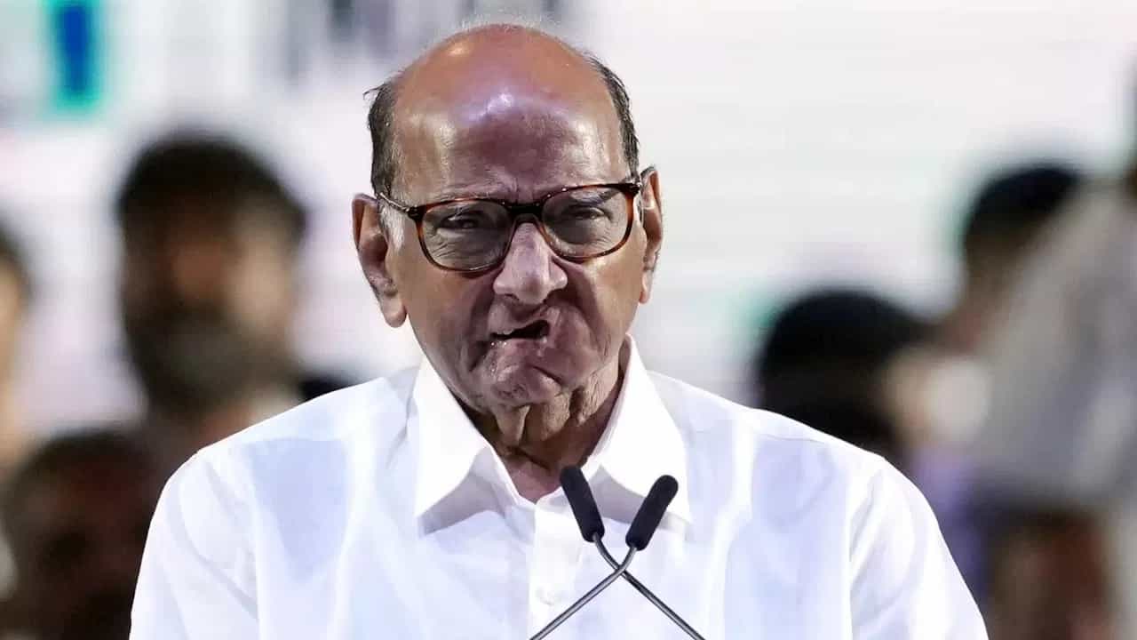 Sharad Pawar : निकालाला काहीच तास शिल्लक अन् शरद पवारांकडून मोठा दावा; म्हणाले, 'काळजी करू नका, राज्यात...'