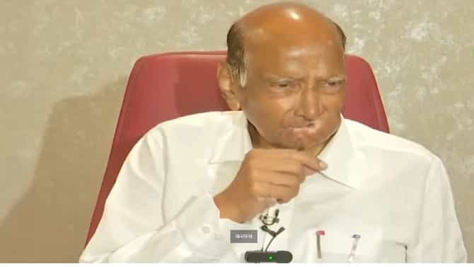 ममता बॅनर्जींमध्ये इंडिया आघाडीचं नेतृत्व करण्याची क्षमता?; शरद पवार नेमकं काय म्हणाले?