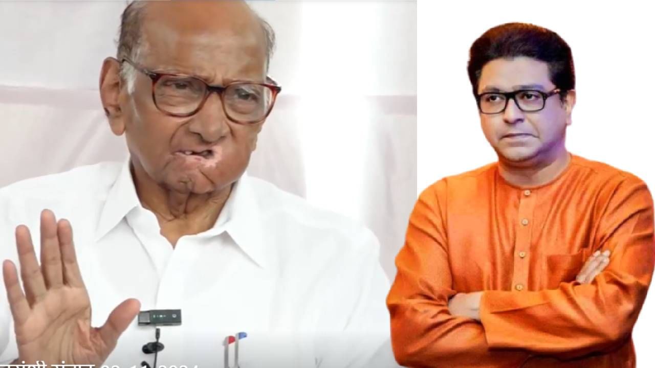 Sharad Pawar :  उभ्या आयुष्यात काहीच केलं नाही,  त्यांना जनतेनं जागा दाखवली, एकच..  शरद पवारांचा राज ठाकरेंना टोला