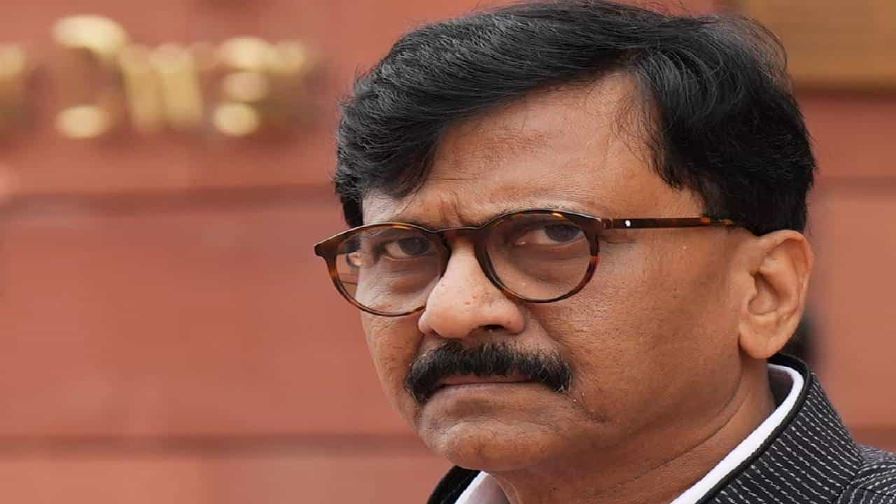 'राऊतांना 'सिल्व्हर ओक'चा बुलडॉग म्हटलं तर चालेल का?', भाजपच्या बड्या नेत्याचा खोचक सवाल