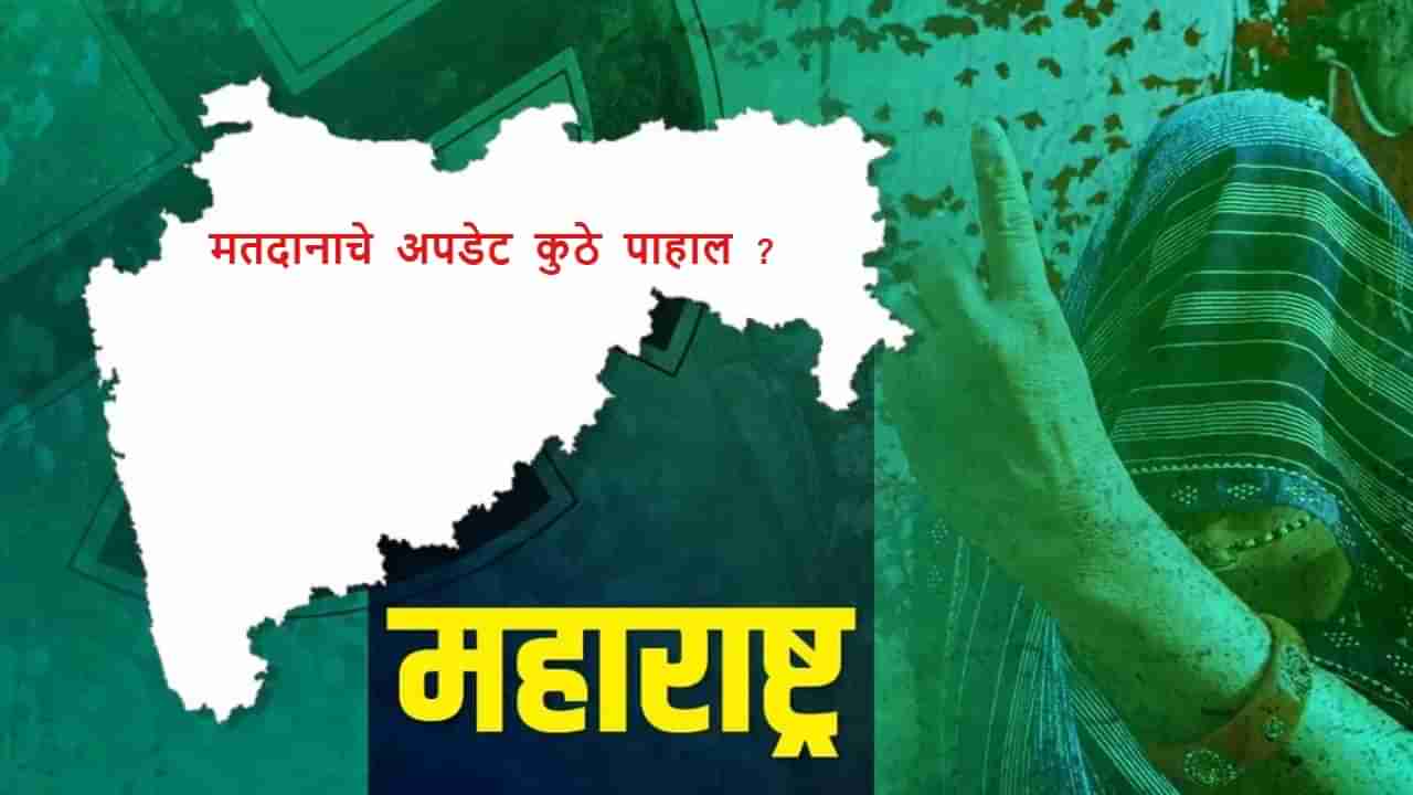 महाराष्ट्रातील सर्वात मोठा महासंग्राम, मतदानाचे अपडेट कुठे पाहाल? फक्त एक क्लिक आणि...