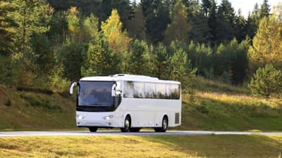 शाळकरी 50 मुलांना घेऊन बस निघाली, चालक मद्यधुंद, दारुच्या नशेत नागमोडी बस चालवत...