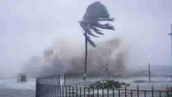 IMD Update: पुढील तीन दिवस राज्यावर पावसाचे सावट, हिवाळ्यात यलो अलर्ट, थंडीचा जोर कमी