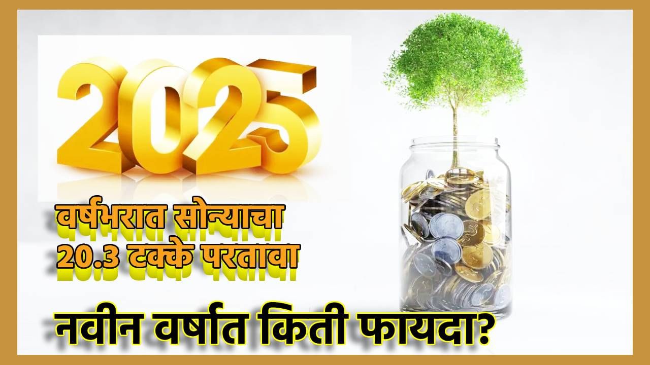 Gold Return : सोन्यामुळे वर्षभरात गुंतवणूकदारांना लॉटरी, 20.3 रिटर्न, ग्राहकांची झाली चांदी, 2025 मध्ये पुन्हा चमकणार नशीब?