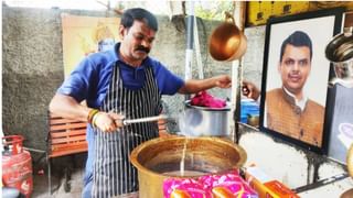 देवेंद्र फडणवीस तिसऱ्यांदा महाराष्ट्राचे मुख्यमंत्री होणार, काकू शोभा फडणवीस यांची पहिली प्रतिक्रिया काय?