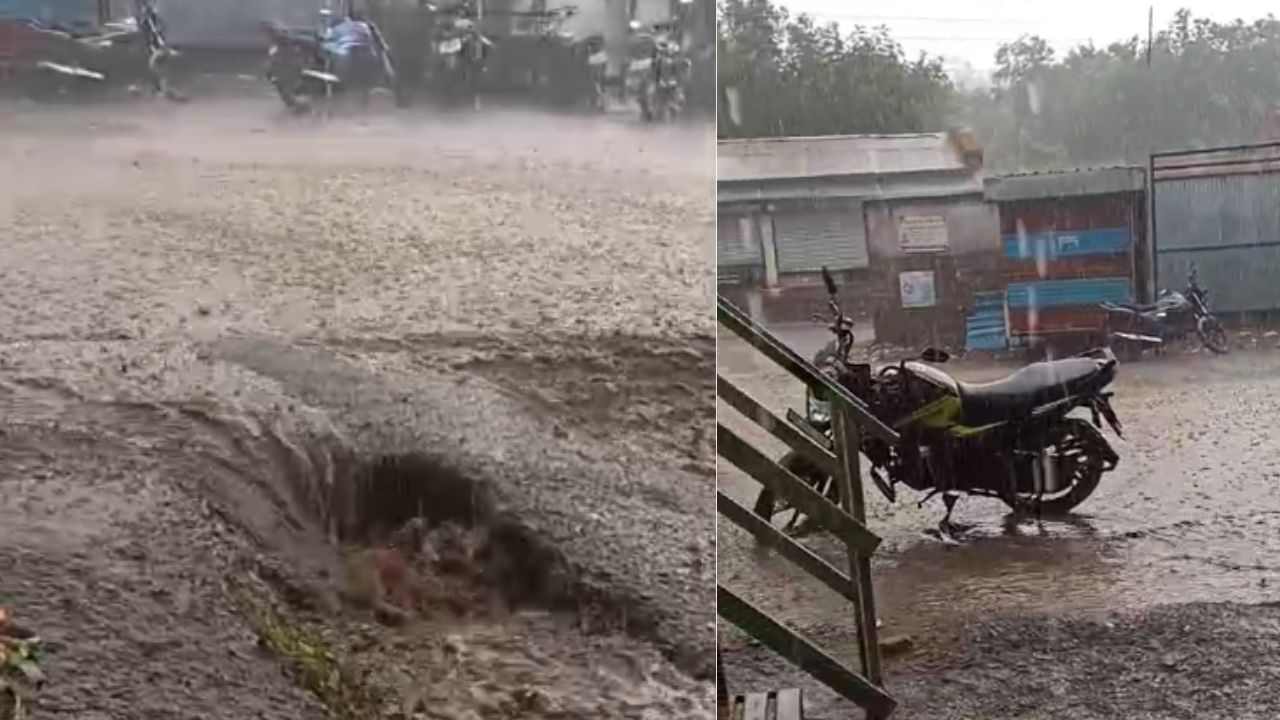 IMD Weather Forecast: हिवाळ्यात राज्यातील काही भागांत पावसाची जोरदार बॅटींग, शेती पिकांना फटका IMD Weather Forecast: हिवाळ्यात राज्यातील काही भागांत पावसाची जोरदार बॅटींग, शेती पिकांना फटका