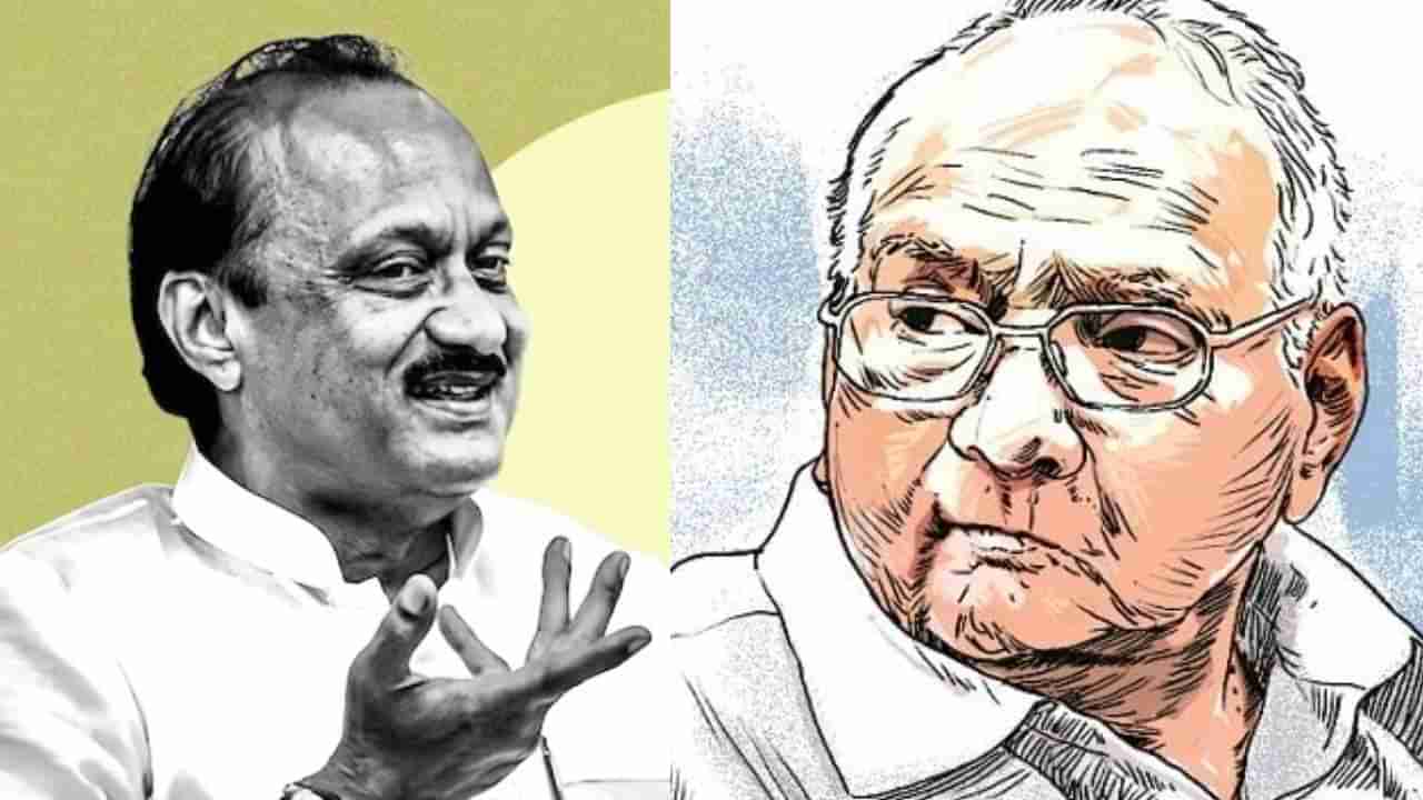 Sharad Pawar -Ajit Pawar : राज्यात परिवर्तन घडणार? राष्ट्रवादीतील दोन गटात दिलजमाई? संजय राऊत तर स्पष्टच म्हणाले...