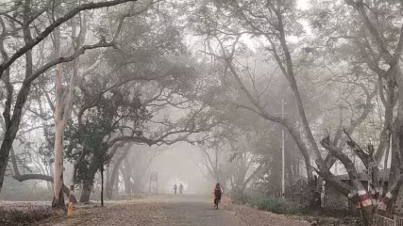 Maharashtra Weather Update : राज्यात हिवाळ्यात पावसाचा अनुभव, थंडीला लागणार ब्रेक, या भागांत पडणार पाऊस, आयएमडीचे अपडेट काय?