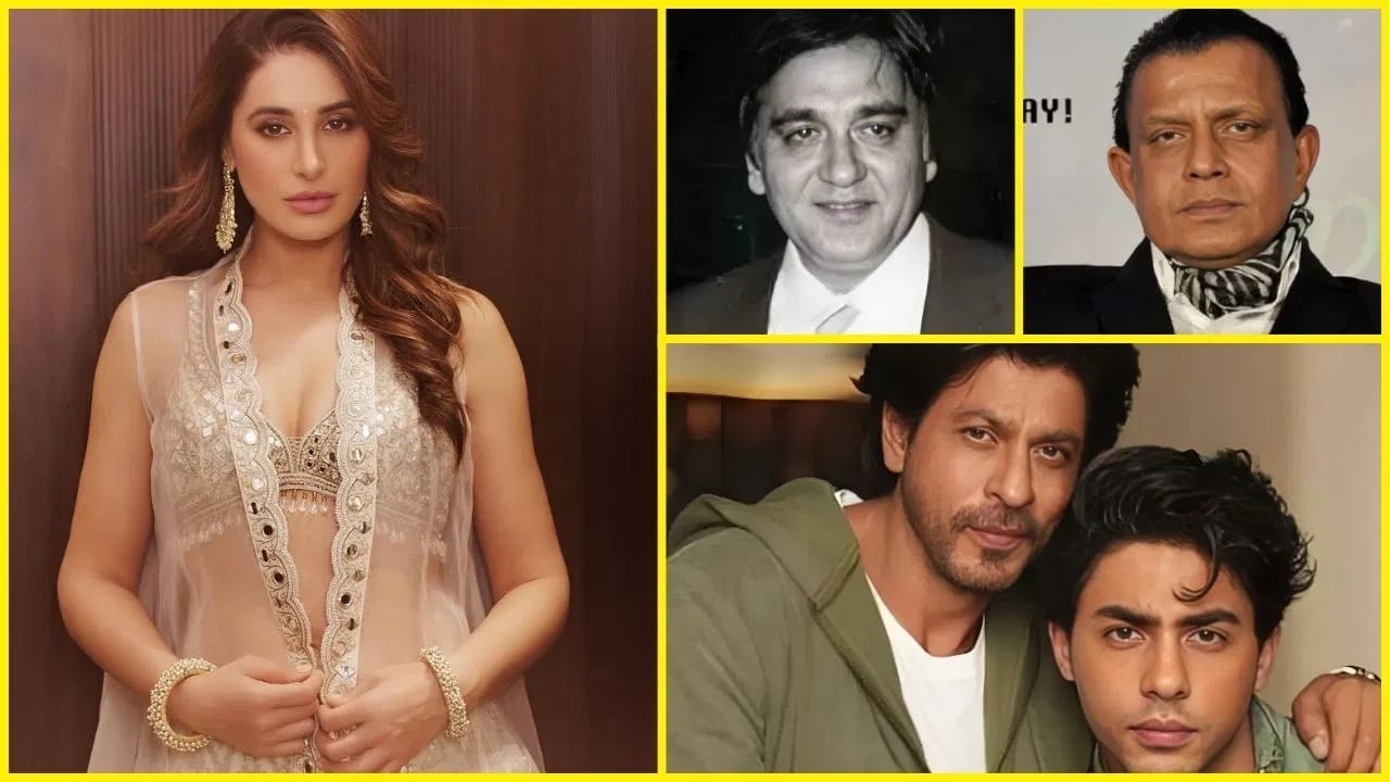 नर्गिस फाखरीच नव्हे ‘हे’ बॉलिवूड कलाकारही कुटुंबावरील आरोपामुळे अडकलेले वादात